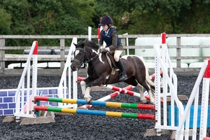 Class 2 -  Fences not above 2'